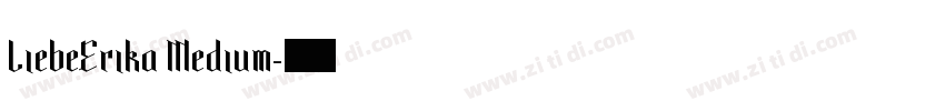 LiebeErika Medium字体转换